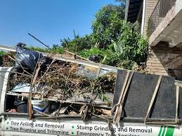 Best Office Cleanout  in Lakewood, CO