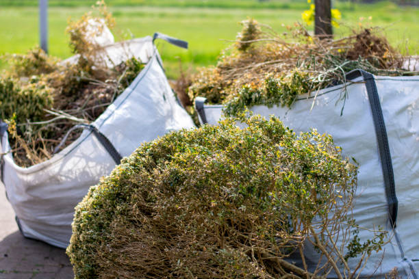 Best Scrap Metal Removal  in Lakewood, CO